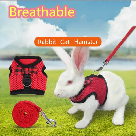 Small Pet Harness with Mesh Chest Strap. Available in S/M/L