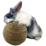 Small Animal Interactive Natural Grass Ball. Great for Teeth Cleaning