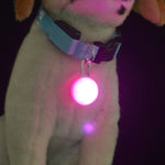 Pet Collar LED Night Safety 5 Color Pendant