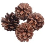 Small Animal Pine Cone Chew Toys (4pcs)