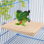 Parrot Natural Wood Perch Stand.