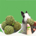 Small Animal Chew Grass Balls (2pcs)