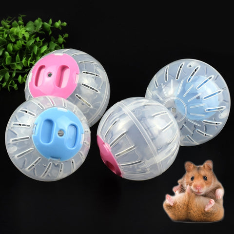 Small Pet Clear Running Ball (2 Colors and 2 Sizes)