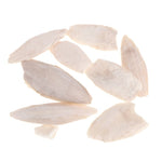 Cuttlebone Cuttlefish Sepia Bone CuttleFish Bird Food Calcium