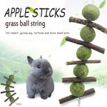 Small Animal Teeth Cleaning Chew Stick Ball Toy