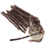 Small Animal Apple Chew Sticks (20pcs)