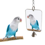 Hanging Mirror Bird Swing