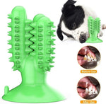 Bite-resistant Tooth Brush for Large Medium and Small Dogs