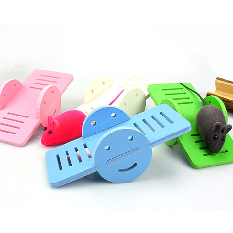 Small Pet Seesaw