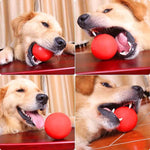 Bite Resistant Chew Toy