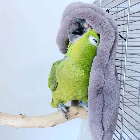 Warm Winter Bird Nest Blanket