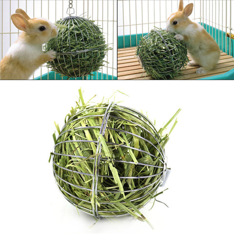 Small Pets Stainless Steel Grass Feeding Ball