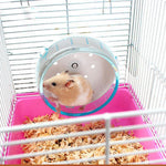 Small Animal Running Wheel