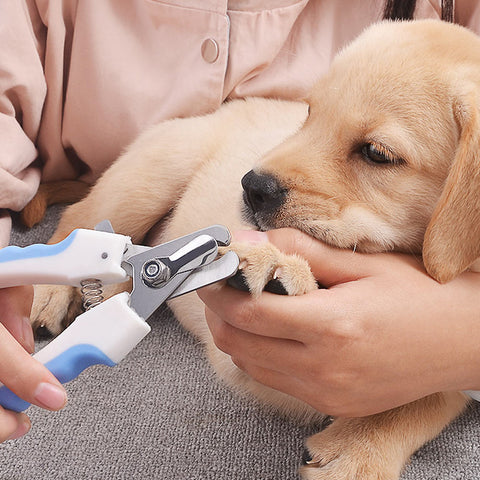 Pet Stainless Steel Nail Clippers.