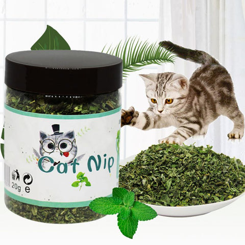 Organic 100% Natural Premium Edible Catnip