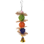 Colorful Hanging Bird Chew Toy