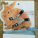 Small Animal Adjustable Harness with Matching Leash