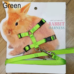 Small Animal Adjustable Harness with Matching Leash