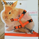 Small Animal Adjustable Harness with Matching Leash