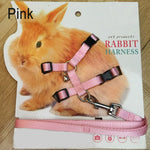 Small Animal Adjustable Harness with Matching Leash