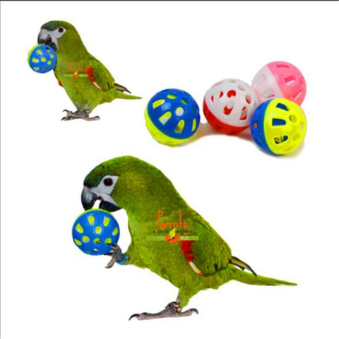 Hollow Bell Ball Chew Toys for Birds